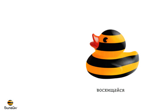 304224 (a): :1024x768